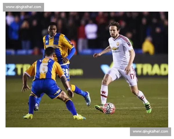 高清足球赛事直播APP下载指南畅享全球赛场精彩即时比分数据分析权威解说 - 副本 (174) - 副本 - 副本 - 副本 - 副本 - 副本